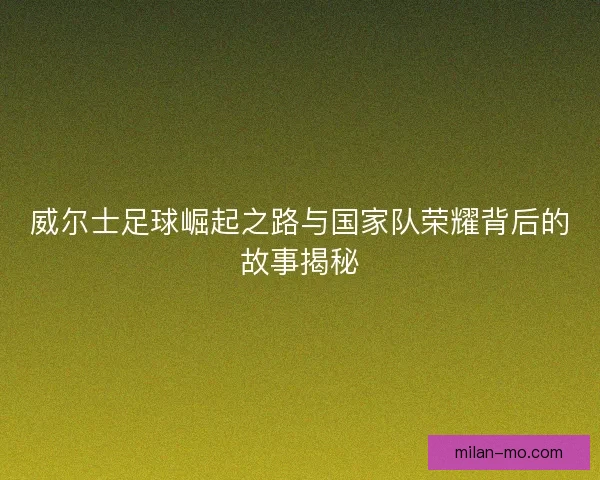 威尔士足球崛起之路与国家队荣耀背后的故事揭秘